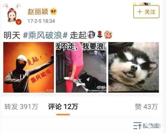 卓伟又写新诗爆料，赵丽颖无奈晒狗劈叉，到底最后谁会打脸？