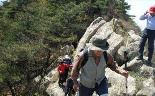 游客偶然发现的东西价值上百万,回去直呼后悔,专家:还好你没摘