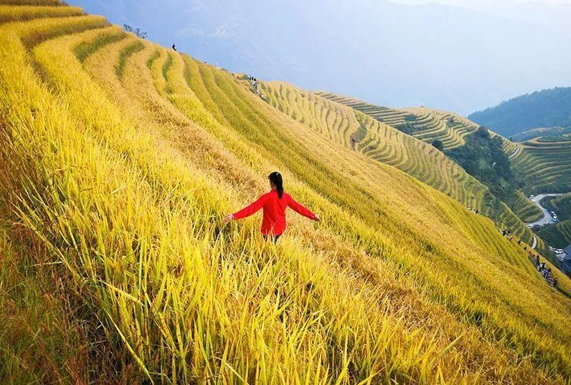 错开了高峰去桂林，去看那最美的龙脊梯田