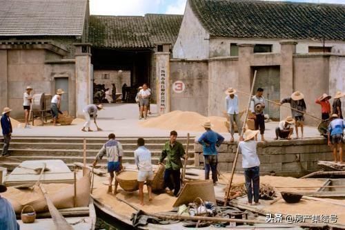 农民哽咽：交过的公粮还能退钱吗，能抵社保费用吗？专家霸气回复