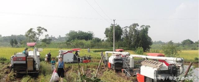 下半年农村这些东西都要上涨了，村民要提前做好准备了！