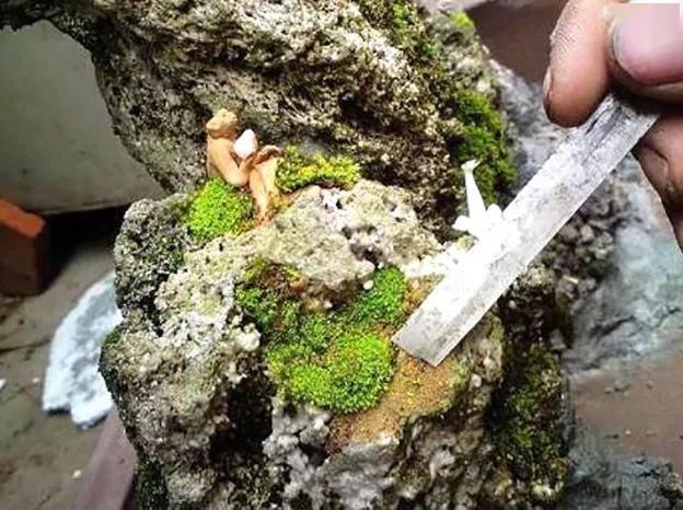 拆开:拆开山水盆景才恍然大悟,原来植物要这样才能固定在山石盆景!