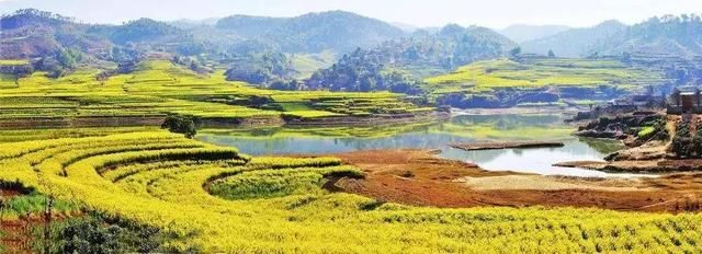 春季花开哪家强？云南16州市最美赏花点看过来！