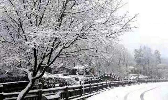 西安一下雪就变回长安 雪拥四大景区 千年梦回秦岭