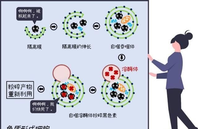  顶级@顶级流量【烟酰胺】，为什么你用了却不白？
