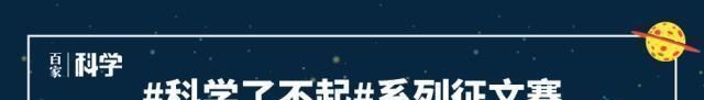  「盆栽」糖炒栗子都吃过，板栗盆栽见过吗？比发财树好看！