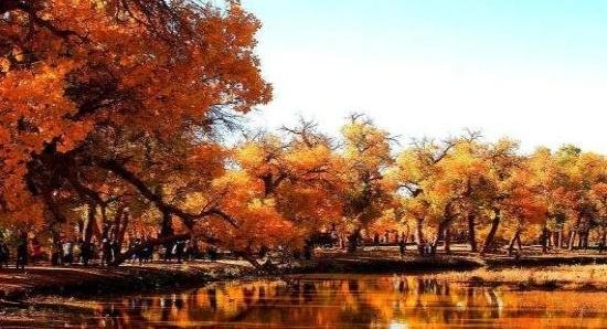 为什么外国人不来中国旅游，他们说出这几个理由，网友称确没有错