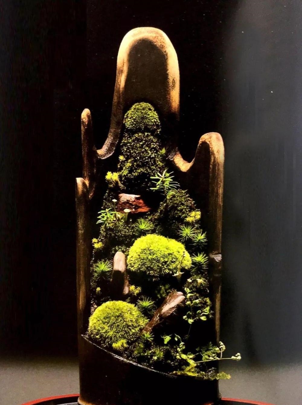『苔藓』一竹一苔一盆景, “拥入怀中, 成就彼此”制法与图解