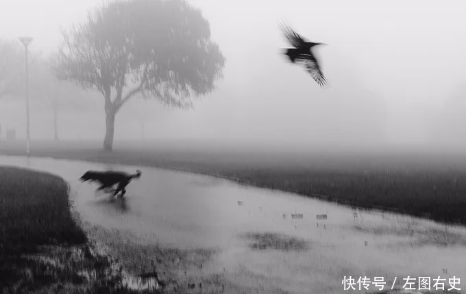 「摄影师」对摄影师而言,摒弃色彩会让视觉效果更加纯粹