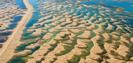 中国“神来之笔”,引入黄河之水将沙漠变绿洲,游客:中国的力量