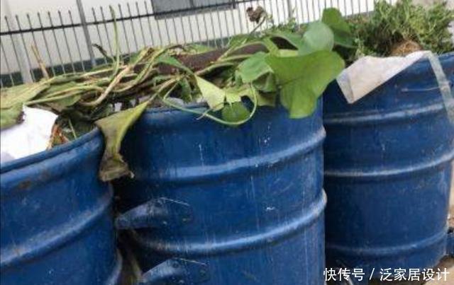 堆花|花市垃圾桶内捡1堆花,回来处理一下,就能养成漂亮的盆栽