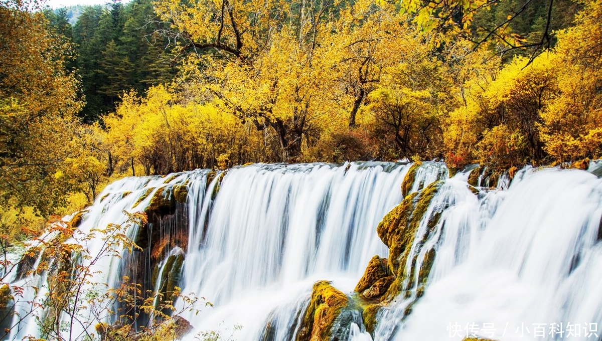 九寨沟景区回归!“十一”要去的游客得注意……