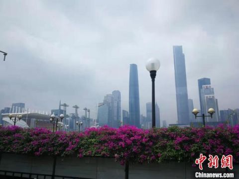  制定|加大海砂资源供应 广东制定海砂开采三年行动计划