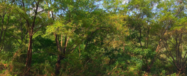 福建最富裕的一座三线城市：GDP增速省内第一，未来不容小觑