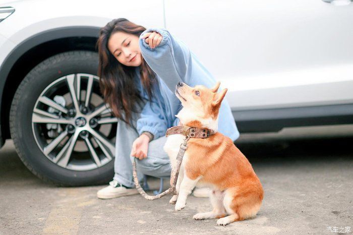 「Pro」开着宋Pro与老婆去遛狗,春暖花开,美好生活在身旁