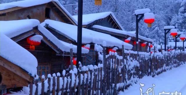 最美龙江飘雪时！银装素裹的黑龙江给你一个浪漫的童话世界