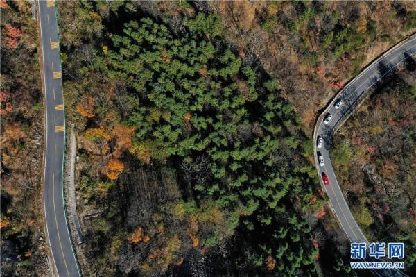 航拍：大别山马丁公路