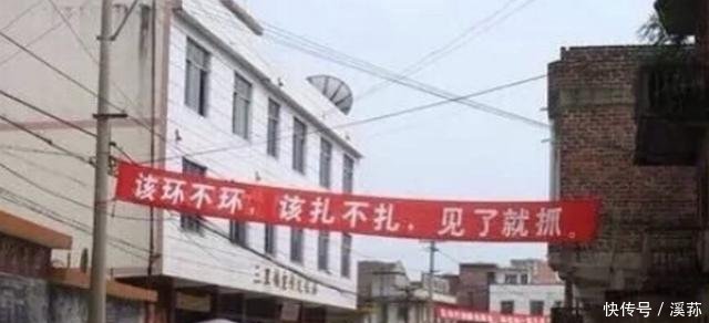 计生新规 提倡生育两个子女, 网友 只生一个好国家来养老