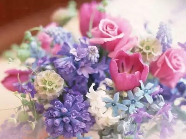  #时间#自从迷上养花，我成了一个捡垃圾的...