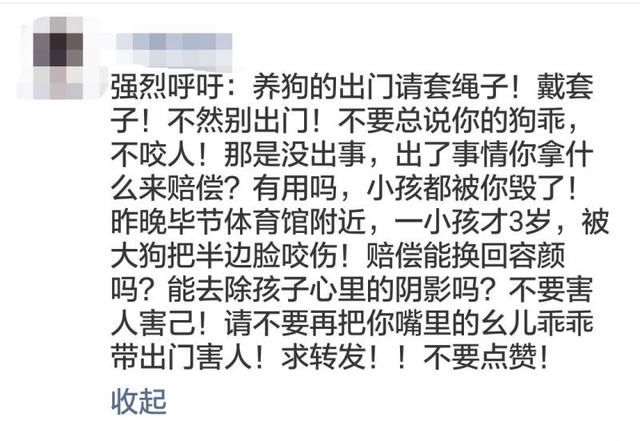 3岁小孩体育馆外被大型犬咬伤半边脸？勿相信夸大其词的谣言