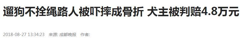 百万粉丝女网红遛狗不栓绳,还殴打8个月孕妇,真的好可怕!