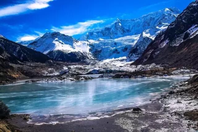 2019年，去林芝看桃花！