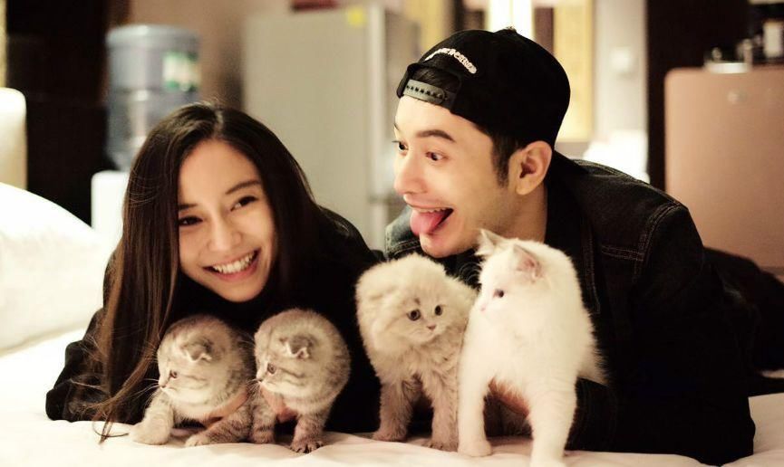 黄晓明变身“黑心商人”，工作室第一时间辟谣，网友:人设已崩!