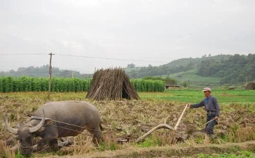  「条件」疫情结束，农村人还会去城市买房吗，会不会受到影响，