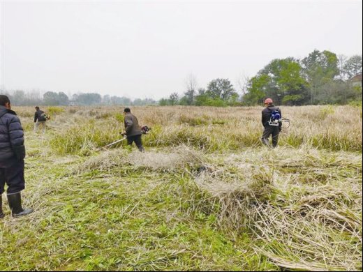  「变形记」湖南常德：“三无村”荒地“变形记”