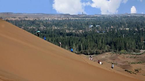  「树木」如果把塔克拉玛干沙漠改造成森林，会有什么影响呢？答