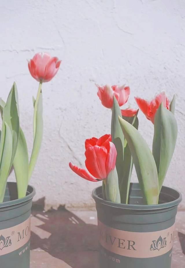  「超级多」让你的照片美貌营业，百万博主们都离不开它！