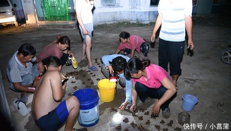  「跨越」山东 跨越一千多公里的神秘“金蝉”交易, 每晚售出50万