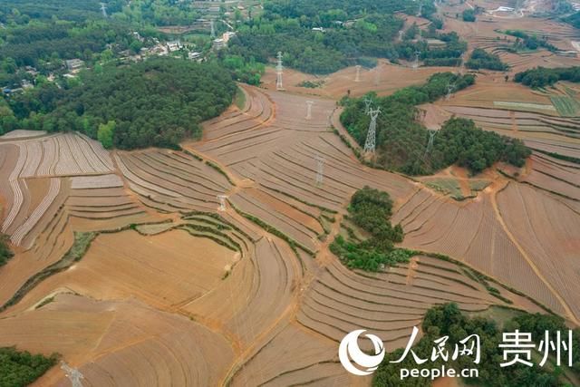  「扶贫」贵州威宁：扶贫蔬菜基地播种“希望”易地搬迁户收获安康