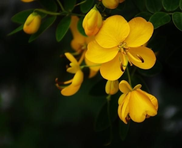  「菠萝蜜」南宁：请打量这夜色