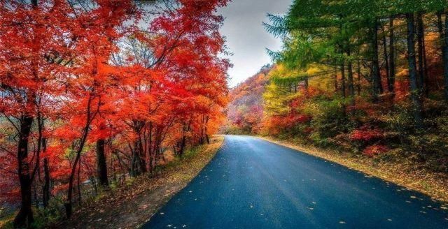 国庆期间东北枫叶最美的地方，不但不要门票，而且游客也比较少