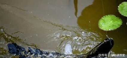 「海竿拟饵钓」户外钓黑鱼,选对钓鱼方法,不愁黑鱼不上钩
