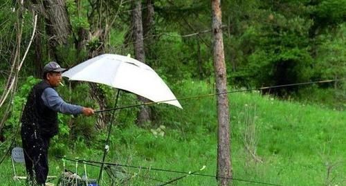  「白心红薯」现在流行“红薯”钓鱼，利用好了，中勾率很客观！