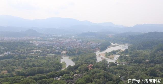 中国有一棵国宝级树，树叶比黄金还珍贵，投保1亿每年只产几两