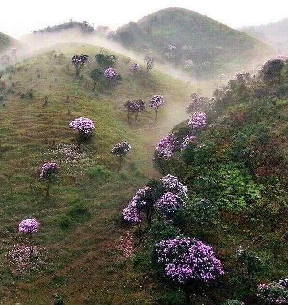 广东境内的大草原，景色不输呼伦贝尔