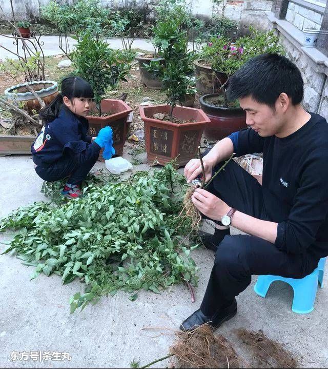 9岁女孩作文火了!想当县长给警察放假 成警察