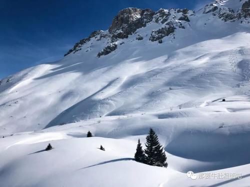 全球滑者都向往的阿尔卑斯到底有多美？