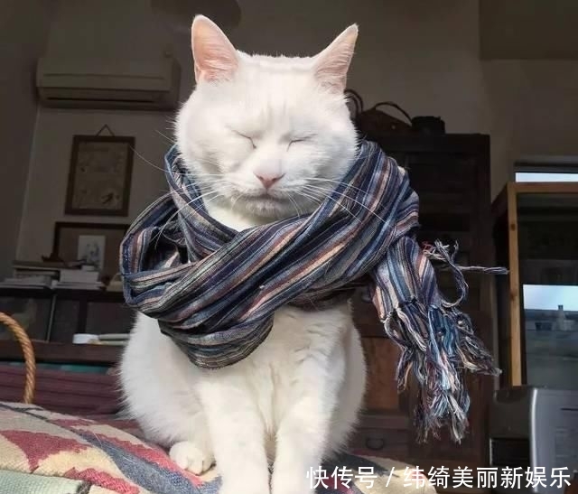 「整体拥」赶快运用“拼色品类”提升丰富多彩质感吧!