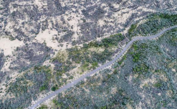  【西北】中国西北沙漠“穿绿衣”给全球旱区生态治理提供样板