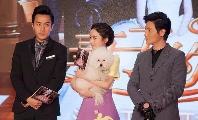 赵丽颖力破谣言？网友却拍到不一样的画面，爱犬还被寄养给朋友！