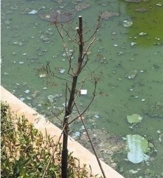 风水学告诉你：风水中的“水”哪些吉利？哪些不吉？