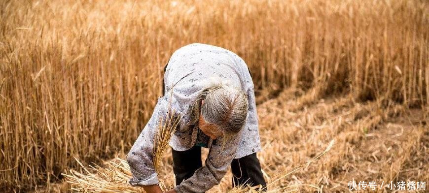 农村老话“生不睡柳, 死不睡杨”啥意思, 有道理吗