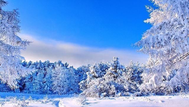  [句俗语]冬至将至，俗语“阴过冬至晴过年”啥意思？古人的经验