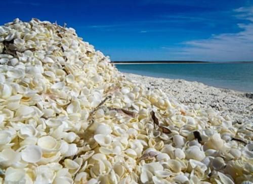 世界之最，崎岖海边悬崖到安静的礁湖，超过一千五百公里的海岸线