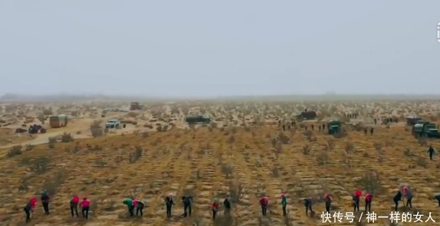 马云的“蚂蚁森林”已三年 竟将“死亡之海”变绿洲 网友：厉害了