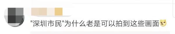 北有“朝阳群众”，南有“深圳市民”